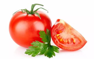 为什么如今生长的西红柿不及以前的味道