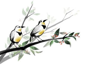 关于鸟的词语或诗句有哪些