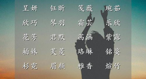 城堡在逃的公主名字,闪烁如星,独一无二