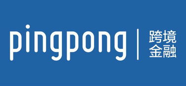 pingpong 资金怎么进入中国