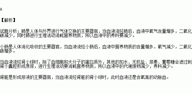 动脉血含有的尿素多还是静脉血