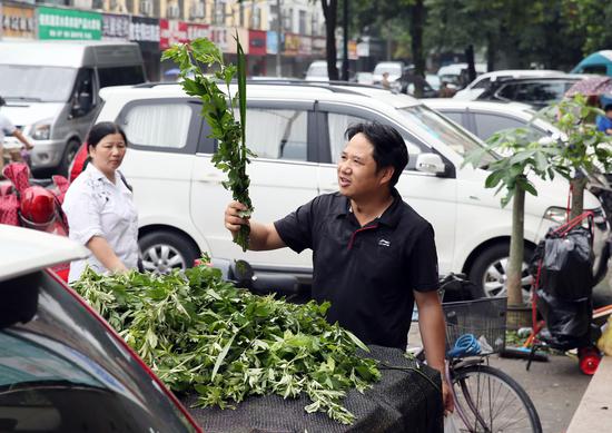 购艾草做香囊包米粽 杭州市民迎接端午忙