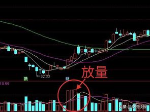 股票价格的上涨与下跌是由什么决定？