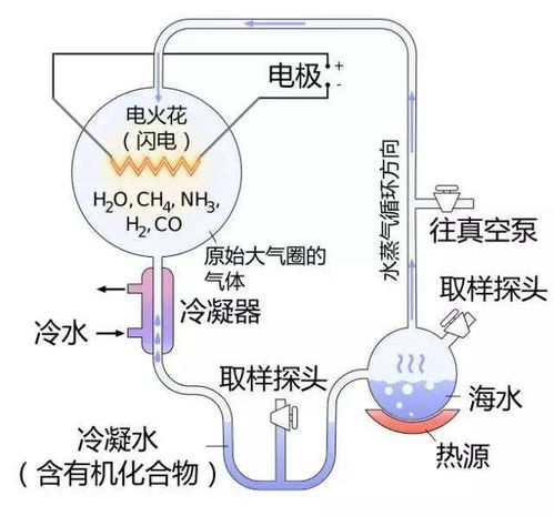 地球上第一个人怎么出现的 或许宇宙万物都能告诉你答案