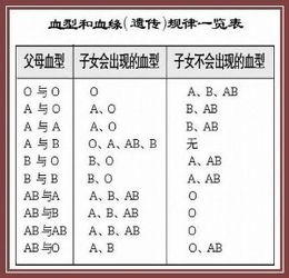 你们的胎宝宝是什么血型 我知道哦