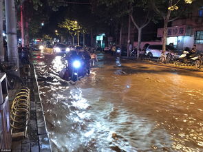 郑州窨井突发大水 路面瞬间变 黄河 