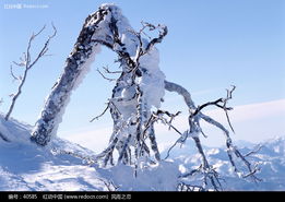 雪景123图片免费下载 编号40585 红动网 