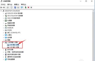 win10电脑上USB口不显示怎么办