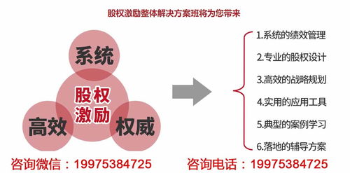 小企业股权激励机制有哪些案例进行分析？