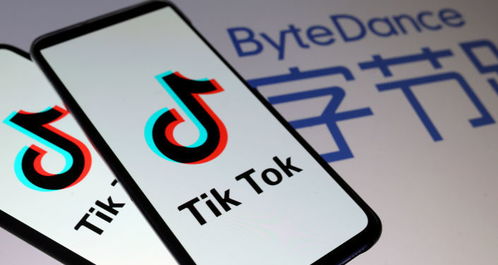 如何给自己的TikTok账号做定位_ad tiktok
