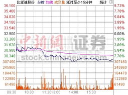 比亚迪股票代码是多少