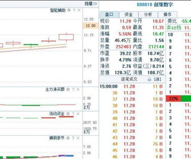 股票中回落整理阶段什么意思