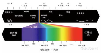 光波长,光的波长是多少？