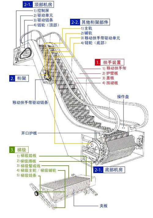 你知道吗 乘坐扶梯站哪一边才有素质