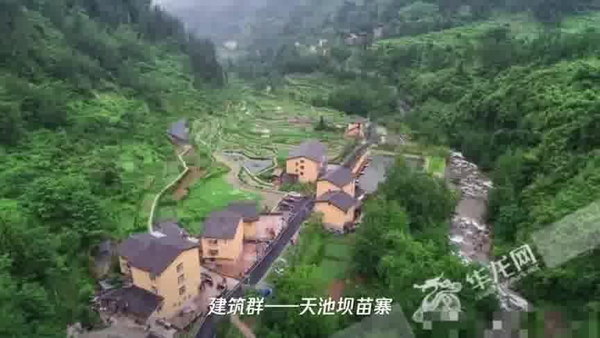 重庆乡村旅游平台(重庆有哪些优秀的乡村旅游线路)