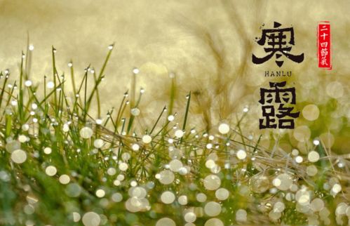 10月8日 九月初三 寒露节气,十二生肖运势与注意事项