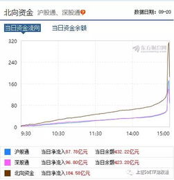 高管增持了自公司的股票怎么始终不涨