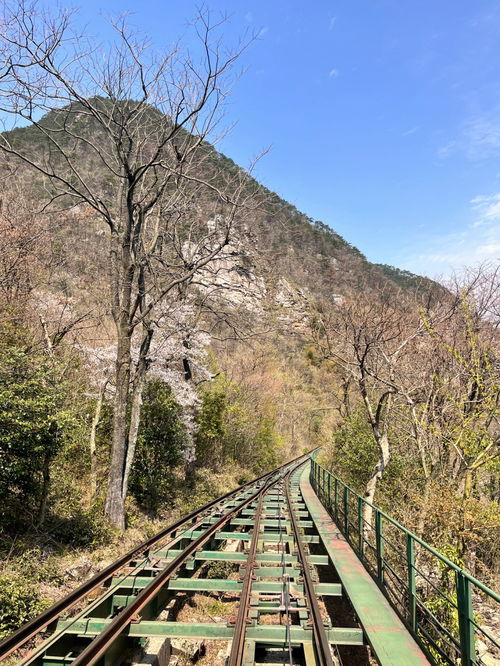 旅游方式分享 庐山一日游 