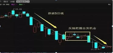 同花顺怎么查下个交易日5日线和涨停价