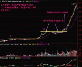 为什么某只股票当天出现一个最高价,但是在分家表那里没有显示