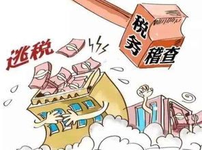 公司还在用个人账户收款 2019年清查,罚你没商量