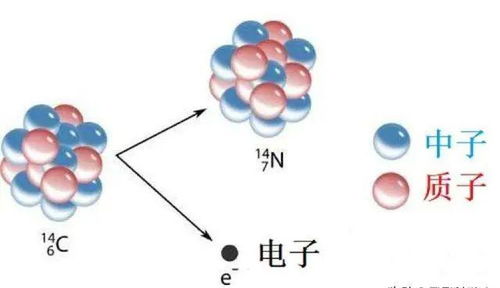 碳14是什么？