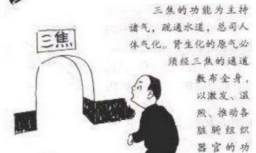 艾灸冷知识</title>
<meta name=