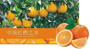 廉江红橙是什么时候摘,2021年廉江红橙节什么时候举办？