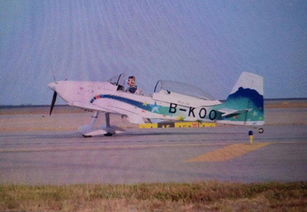 首架香港本地小型飞机成功试飞 空中盘旋3圈图 