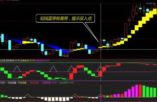上海的黄蓝带股票软件是一款收费软件吗？请指教