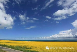 7月份的青海旅游该怎么穿(7月份青海旅游穿什么鞋)