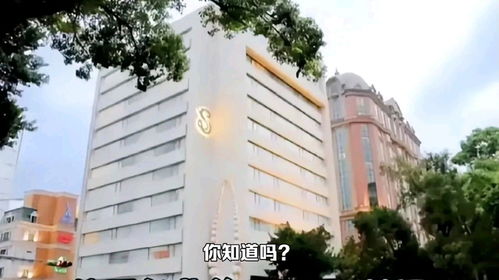 为什么汪小菲火速更改S hotel酒店的名字呢