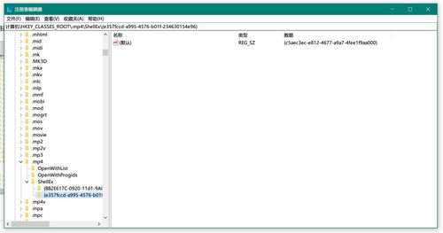 win10有多余的启动怎么删除不了