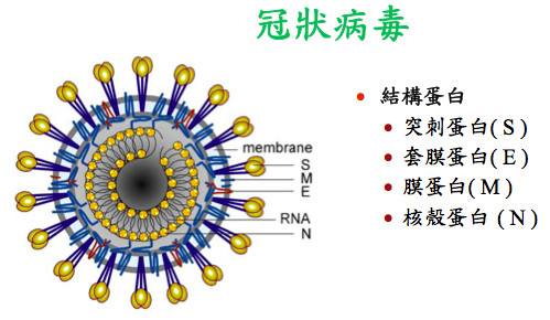 新冠平均几天发病一次（大部分新冠患者几天发病） 第1张