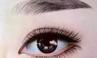 力唯教你美瞳线是什么 跟传统眼线有什么区别