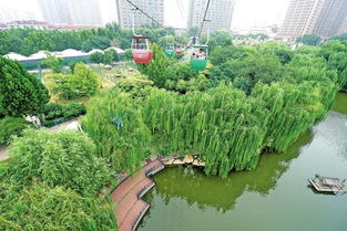 变化中的郑州市动物园 既有颜值又有文化 