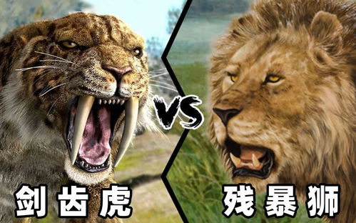 剑齿虎vs残暴狮,谁才是真正的史前猫科一哥 
