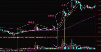 股票中，有人挂大单买入，但是卖到他这他就买入撤单，但是有大单主动买入，请问这是什么意思