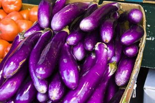 紫色水果有哪些品种,什么水果外面是紫色，里面是青色