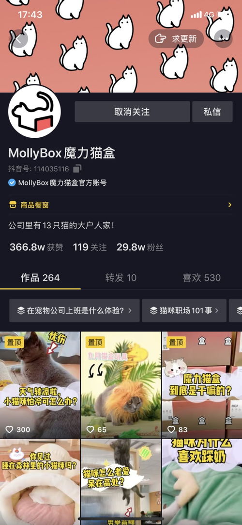 MollyBox魔力猫盒启动校招线上宣讲会,创始人居一将空降直播间