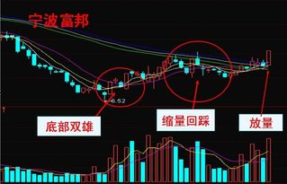 股价涨停的股票达30只，封单资金总额达2.37亿元