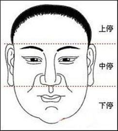 男人的鼻子面相分析,一看就懂 