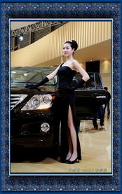 2009上海车模展 