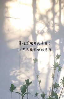 心累想哭的伤感个性签名,句句戳痛心坎