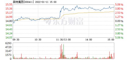英特集团怎么不涨啊？后市怎么样？