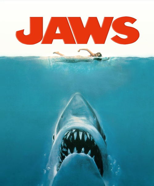 新 大白鲨 电影将推出,水底猛兽VS性感美女,这次玩出什么花样