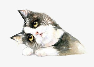 手绘猫咪素材图片免费下载 高清卡通手绘psd 千库网 图片编号7118979 