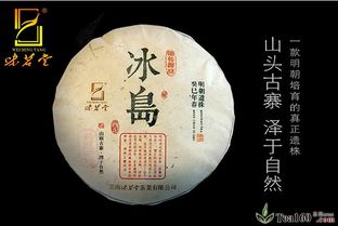 深圳市茶博会指定养生茶叶