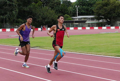 田径队的训练方法视频,田径队训练内容安排