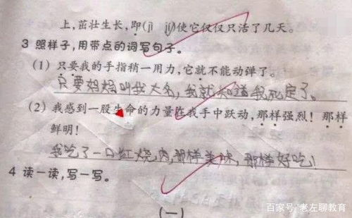 用义正辞严造句60字  词组词一年级？